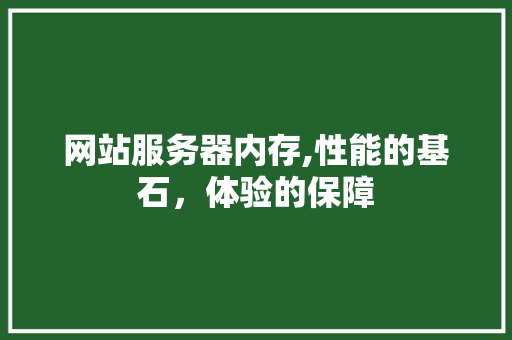 网站服务器内存,性能的基石，体验的保障