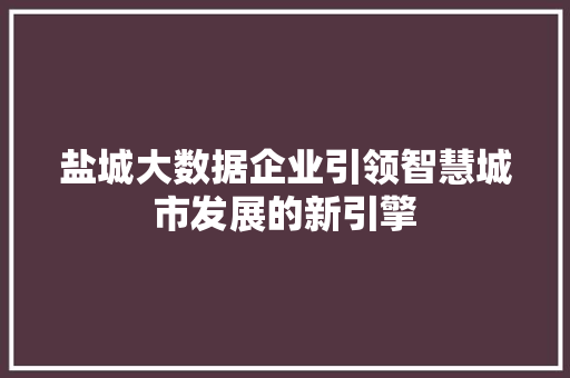 盐城大数据企业引领智慧城市发展的新引擎
