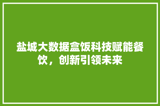 盐城大数据盒饭科技赋能餐饮，创新引领未来