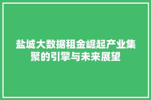 盐城大数据租金崛起产业集聚的引擎与未来展望