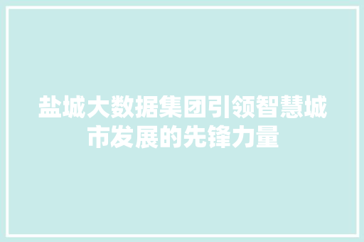 盐城大数据集团引领智慧城市发展的先锋力量