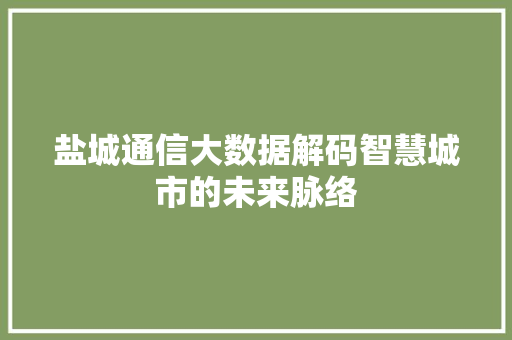 盐城通信大数据解码智慧城市的未来脉络