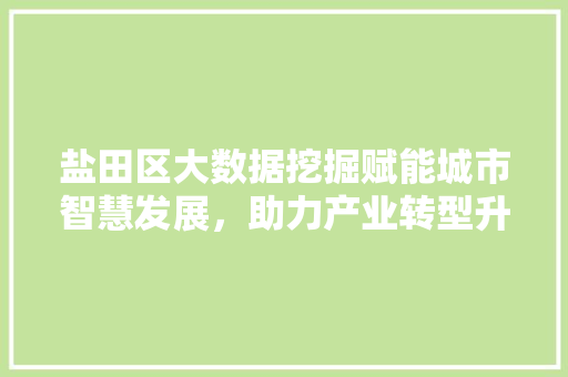 盐田区大数据挖掘赋能城市智慧发展，助力产业转型升级