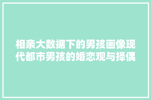 相亲大数据下的男孩画像现代都市男孩的婚恋观与择偶标准