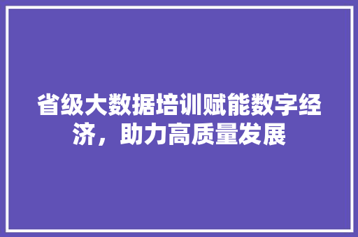 省级大数据培训赋能数字经济，助力高质量发展 WordPress教程
