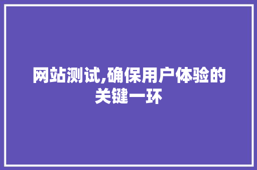 网站测试,确保用户体验的关键一环
