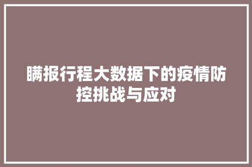 瞒报行程大数据下的疫情防控挑战与应对
