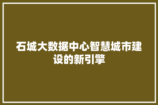 石城大数据中心智慧城市建设的新引擎 服务器/数据库
