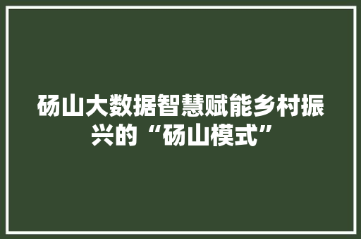 砀山大数据智慧赋能乡村振兴的“砀山模式”