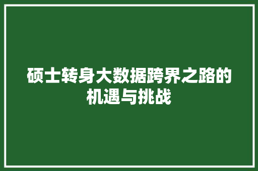 硕士转身大数据跨界之路的机遇与挑战