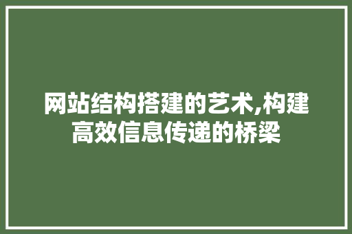 网站结构搭建的艺术,构建高效信息传递的桥梁