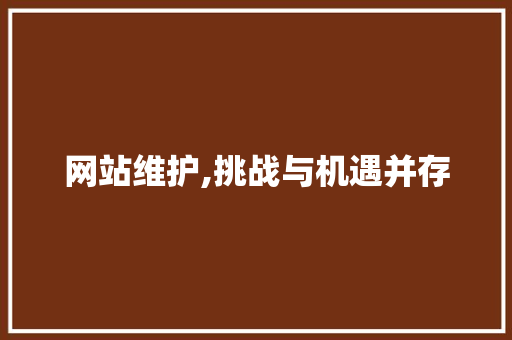 网站维护,挑战与机遇并存