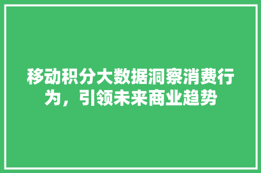 移动积分大数据洞察消费行为，引领未来商业趋势