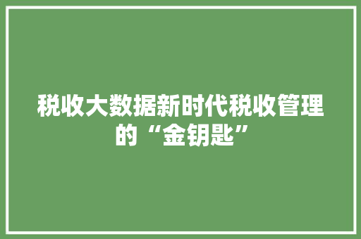 税收大数据新时代税收管理的“金钥匙” SEO教程