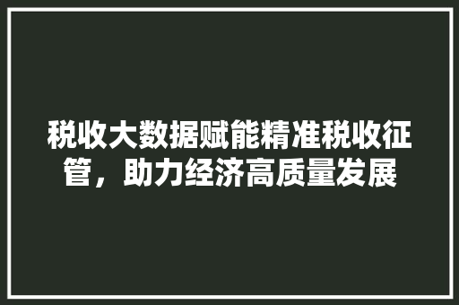 税收大数据赋能精准税收征管，助力经济高质量发展