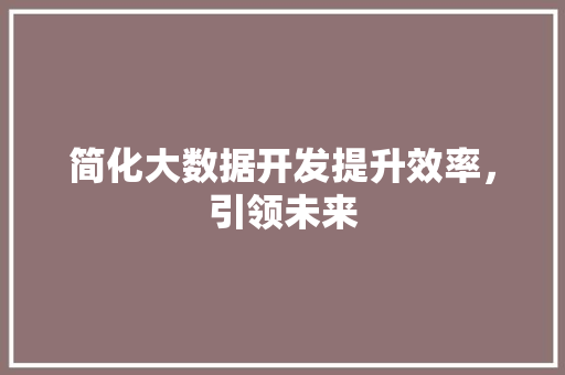 简化大数据开发提升效率，引领未来