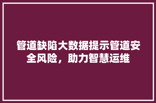管道缺陷大数据提示管道安全风险，助力智慧运维