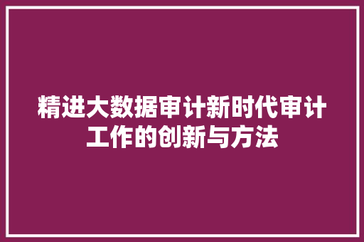 精进大数据审计新时代审计工作的创新与方法
