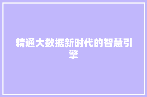 精通大数据新时代的智慧引擎