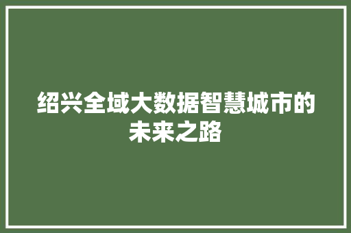 绍兴全域大数据智慧城市的未来之路