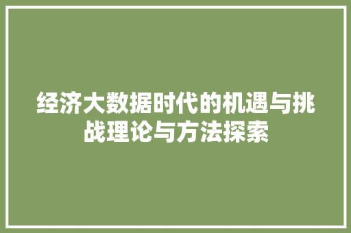 经济大数据时代的机遇与挑战理论与方法探索 Web前端