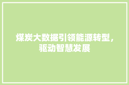 煤炭大数据引领能源转型，驱动智慧发展 友链在线