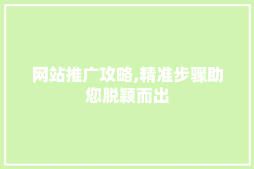 网站推广攻略,精准步骤助您脱颖而出