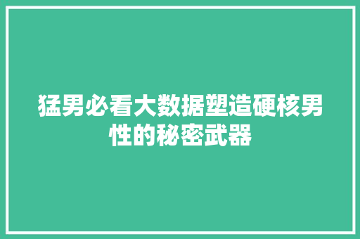 猛男必看大数据塑造硬核男性的秘密武器 WordPress教程