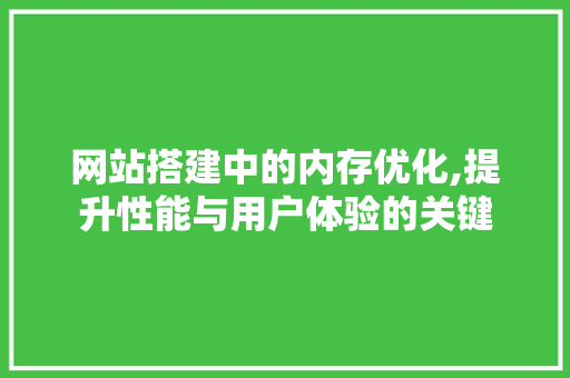 网站搭建中的内存优化,提升性能与用户体验的关键