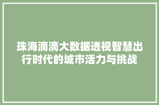 珠海滴滴大数据透视智慧出行时代的城市活力与挑战