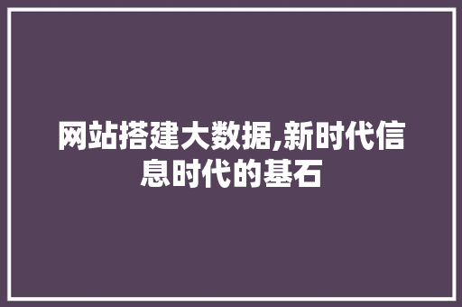网站搭建大数据,新时代信息时代的基石