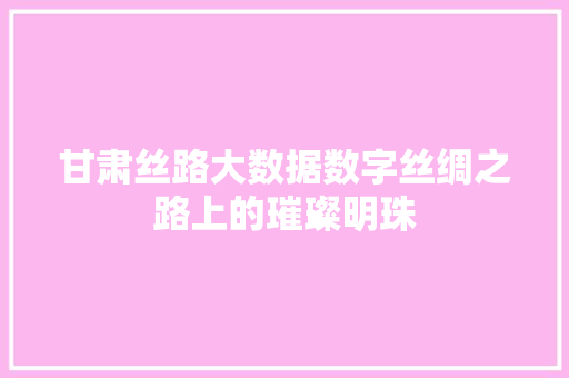 甘肃丝路大数据数字丝绸之路上的璀璨明珠 SEO教程