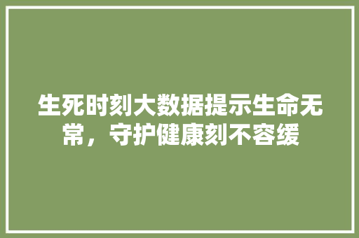 生死时刻大数据提示生命无常，守护健康刻不容缓 WordPress教程