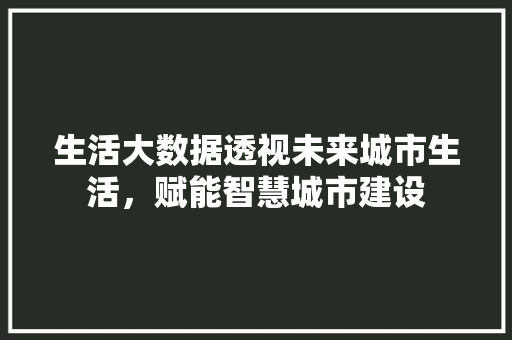 生活大数据透视未来城市生活，赋能智慧城市建设 SEO教程