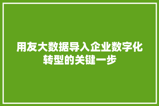用友大数据导入企业数字化转型的关键一步 建站教程
