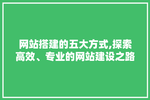 网站搭建的五大方式,探索高效、专业的网站建设之路