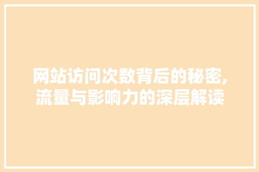 网站访问次数背后的秘密,流量与影响力的深层解读