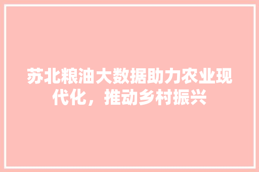 苏北粮油大数据助力农业现代化，推动乡村振兴 建站教程