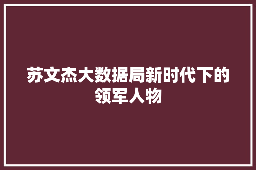 苏文杰大数据局新时代下的领军人物