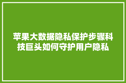 苹果大数据隐私保护步骤科技巨头如何守护用户隐私 SEO教程