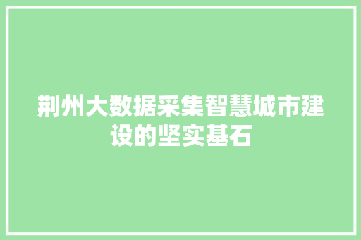 荆州大数据采集智慧城市建设的坚实基石 SEO教程