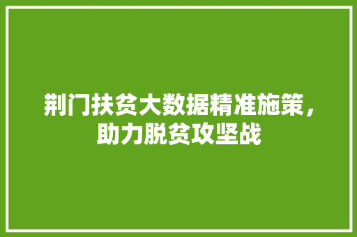 荆门扶贫大数据精准施策，助力脱贫攻坚战
