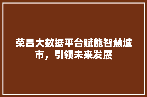 荣昌大数据平台赋能智慧城市，引领未来发展 SEO教程