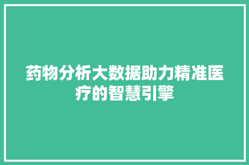 药物分析大数据助力精准医疗的智慧引擎