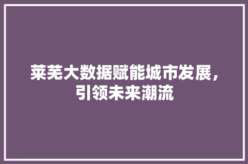 莱芜大数据赋能城市发展，引领未来潮流 服务器/数据库