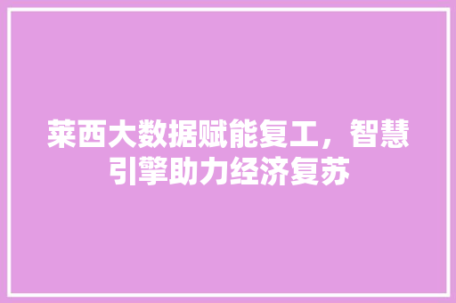 莱西大数据赋能复工，智慧引擎助力经济复苏 建站教程