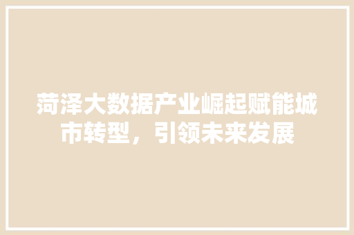 菏泽大数据产业崛起赋能城市转型，引领未来发展 WordPress教程