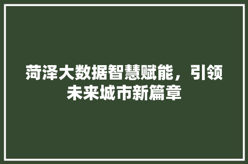 菏泽大数据智慧赋能，引领未来城市新篇章
