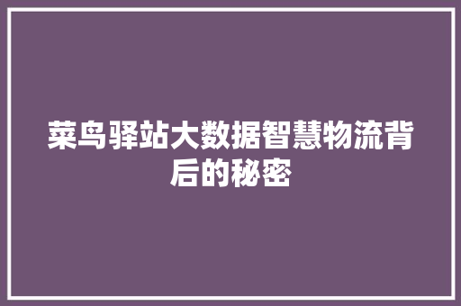 菜鸟驿站大数据智慧物流背后的秘密 服务器/数据库