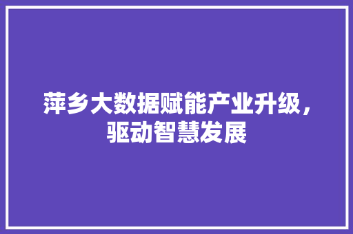 萍乡大数据赋能产业升级，驱动智慧发展 建站教程